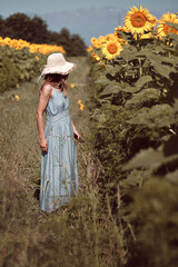 Woman walks in sunflowers field