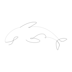 Gordijnen Tattoo illustration of an orca (also known as a killer whale) © Lady_Tama_studio