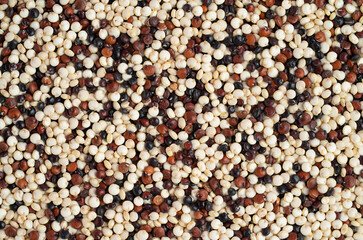 Mixed quinoa texture. Top view, close up.