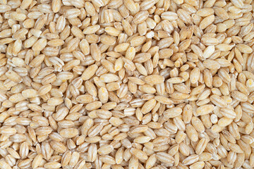 Pearl barley background. Top view, close up.