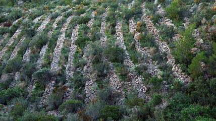 Stone terraces in the mountains of Spain, typical stone terraces for olive cultivation, Alicante