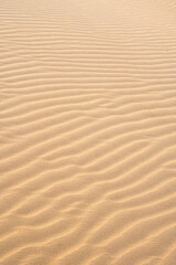 Texture of sand dunes as background top view