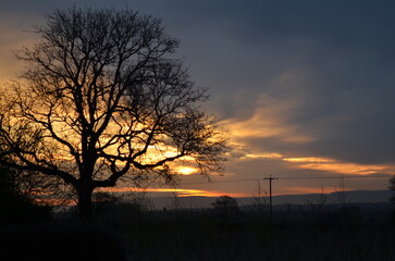 Fototapeta na wymiar Sunset With tree in foreground