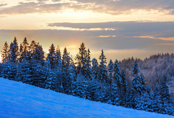 Winter Ukrainian Carpathian Mountains landscape.