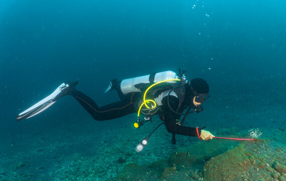 Diver examining lonely coral on the volcanic ocean floor close to  Komodo Island in Indonesia