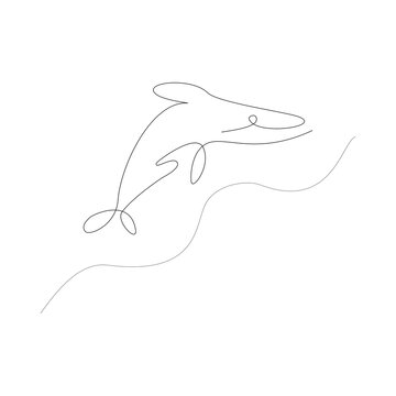 Tattoo illustration of an orca (also known as a killer whale), whale