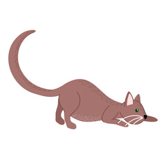 Domestic cat is hunting. Active cat life. Animal pose. Hand drawn vector illustration isolated on white.