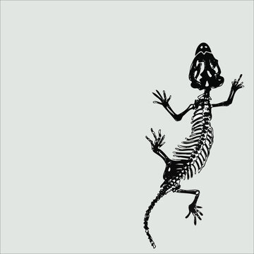 Illustration graphic image of skeleton lizard in blank template. Stock vector.
Suitable design for postcard, wishes card, quotes card, business logo etc