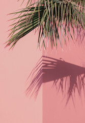 Palm tree stylish sunlight shadows on pink wall background. Nature aesthetic minimalist concept