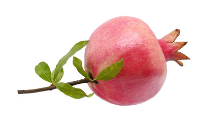 red pomegranade isolated for healthy
