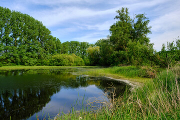 Fototapeta na wymiar Kleine Seen in der Nähe des Bürgleinsees bei Grettstadt, Landkreis Schweinfurt, Unterfranken, Franken, Bayern, Deutschland