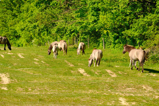 Balg Images Browse 229 Stock Photos, Vectors, and Video Adobe Stock