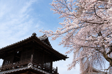 春の寺院