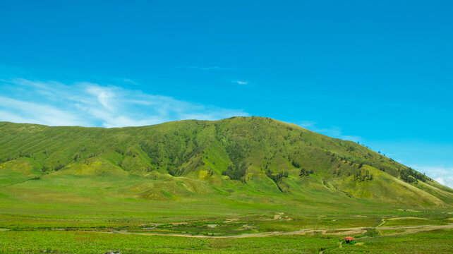 Savana and Teletubbies Hill at Bromo Tengger Semeru National Park, East Java, Indonesia. Indonesian Landscape
