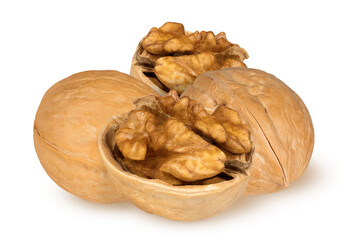Walnut on isolated white background