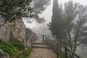 Horizontal view of a stone path in a pine forest on a foggy morning