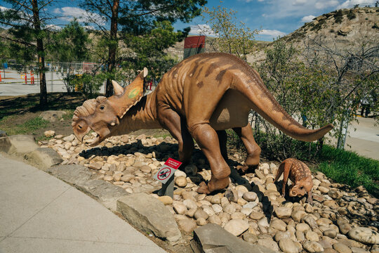 DRUMHELLER, ALBERTA - may, 2022 -Triceratops preparing to defend itself, Royal Tyrrell Museum
