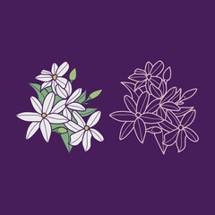 Collection of natural floral herbal art leaves flowers. Decorative beauty elegant illustration for hand drawn floral design

