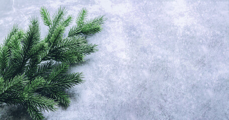 Christmas decoration fir branch on stone background