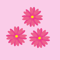 very pretty pink daisy flower vector for decoration