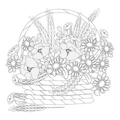 Black and white daisy, poppy and wild flowers big bouquet in a whicker basket. Coloring book page. Vector illustration.