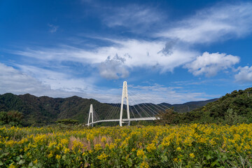 舞鶴クレインブリッジ