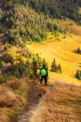 Autumn landscape - view of a hiker and a hiking trail on a mountain range in the Carpathians, Ukraine