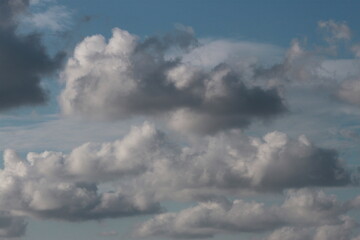 Fototapeta na wymiar fluffy clouds in the blue sky