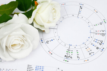 Printed astrology birth chart and white roses, workplace of astrology, spiritual, The callings,...