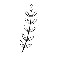Hand Drawing Leaves and Flower Element