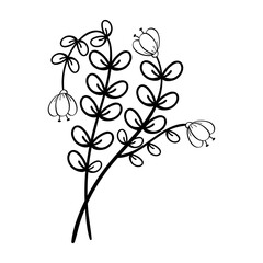 Obraz premium Hand Drawing Leaves and Flower Element