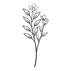 Hand Drawing Leaves and Flower Element