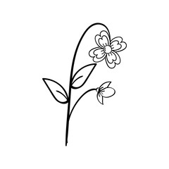 Hand Drawing Leaves and Flower Element