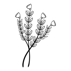 Hand Drawing Leaves and Flower Element