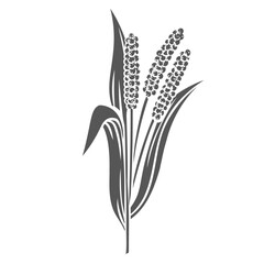 Millet cereal crop plant, glyph icon vector illustration. Cut black silhouette of millet.