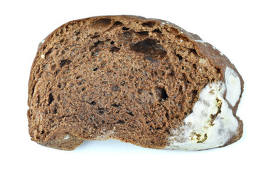 expired chocolate flavored bread white mold growing looks poisonous and unhygienic not suitable for consumption on white background