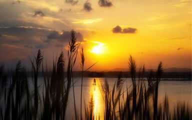 Fototapeta premium sunset over the lake