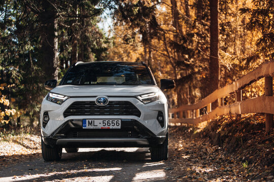 Toyota RAV 4 hybrid at the rural road