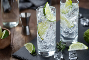 Gin and tonic cocktail with lime and ice