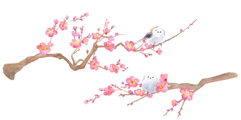 梅の花とエナガの水彩イラスト。紅梅と小鳥。
