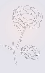 Flower vector one line art logo. Minimalist contour drawing monoline. Continuous line artwork for banner, book design, web illustration.