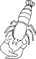 sketch lobster
