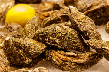 Fresh oysters on ice in a market