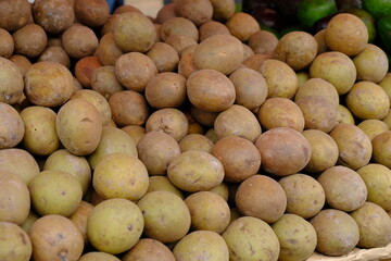 Manilkara zapota or Sawo, commonly known as sapodilla sapote, naseberry, nispero or chicle, is a long-lived, sweet and tasty fruit