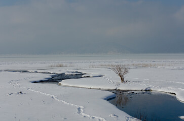 frozen lake in winter