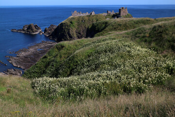 Dunnottar Castle and sea views - Stonehaven - Aberdeenshire - Grampian - Scotland - UK