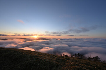 剣山の雲海