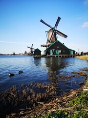 Naklejka premium DUTCH MILLS ON THE BLUE LAKE AT SUNSET
