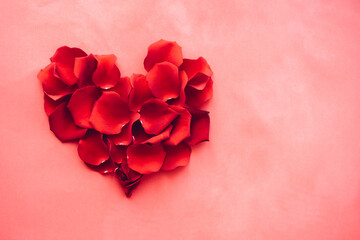 Heart made of rose petals on a pink background. Valentine's Day