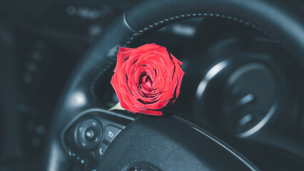 valentine's day surprise , red rose left in car for your love one surprise on romantic day.